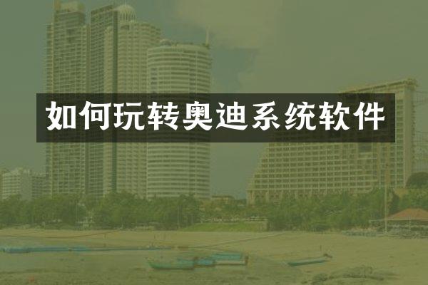 如何玩转奥迪系统软件