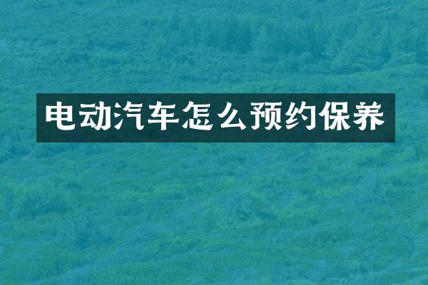 电动汽车怎么预约保养