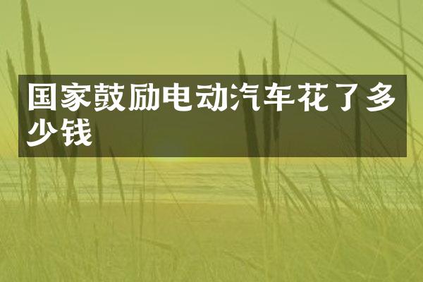 国家鼓励电动汽车花了多少钱