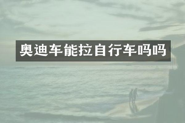 奥迪车能拉自行车吗吗