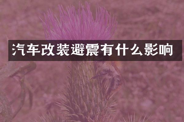汽车改装避震有什么影响