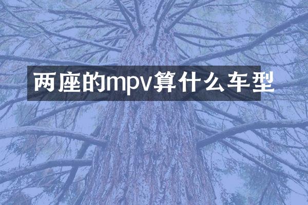 两座的mpv算什么车型
