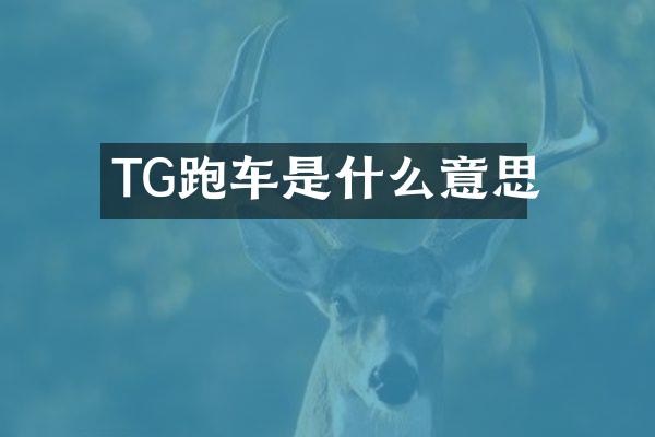 TG跑车是什么意思