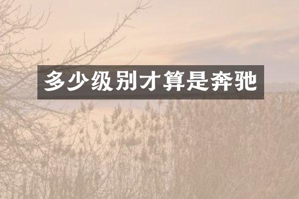 多少级别才算是奔驰