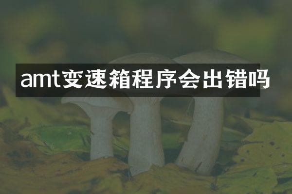amt变速箱程序会出错吗