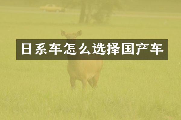 日系车怎么选择国产车