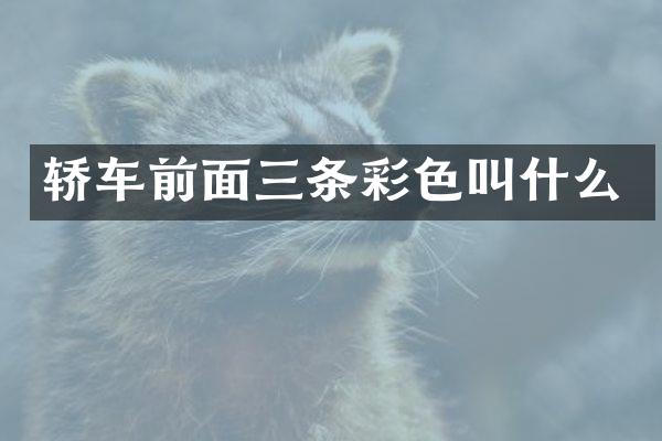 轿车前面三条彩色叫什么