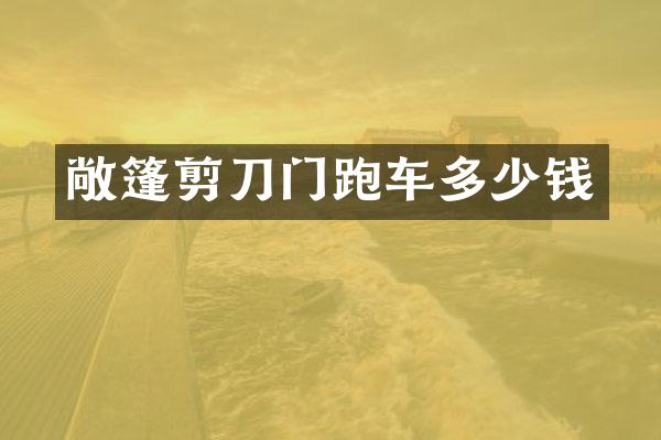 敞篷剪刀门跑车多少钱
