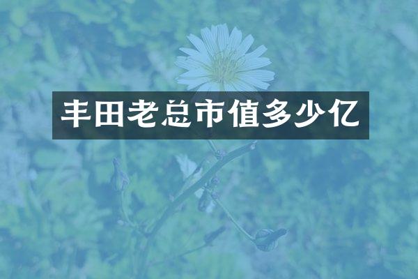 丰田老总市值多少亿