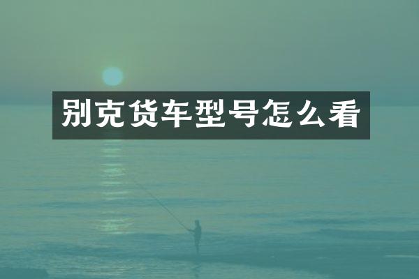 别克货车型号怎么看
