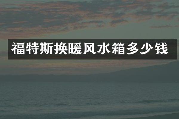 福特斯换暖风水箱多少钱