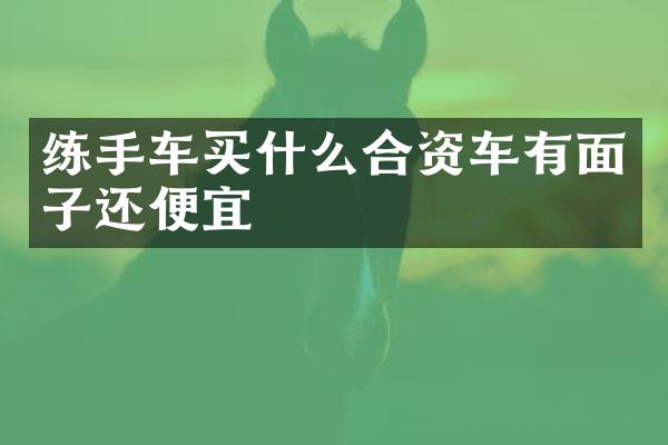练手车合资车有面子还便宜