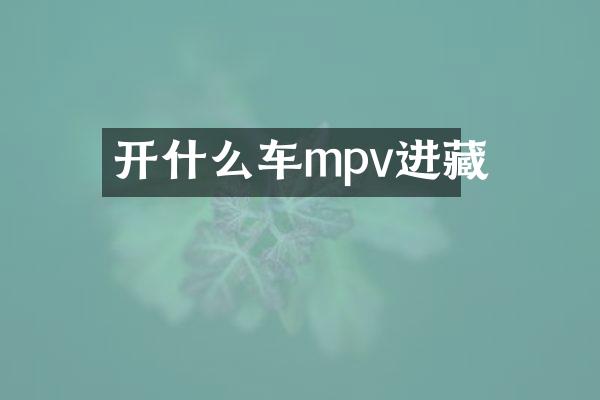 开什么车mpv进藏