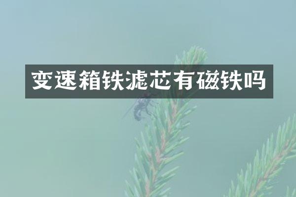 变速箱铁滤芯有磁铁吗