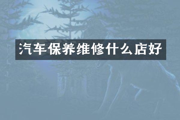 汽车保养维修什么店好