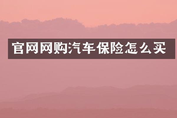 官网网购汽车保险怎么买