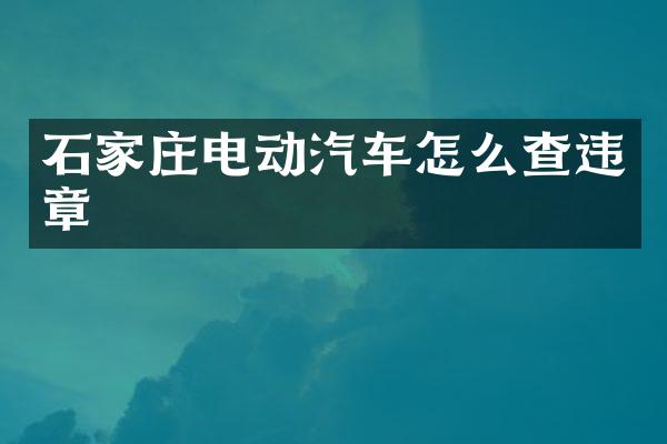 石家庄电动汽车怎么查违章
