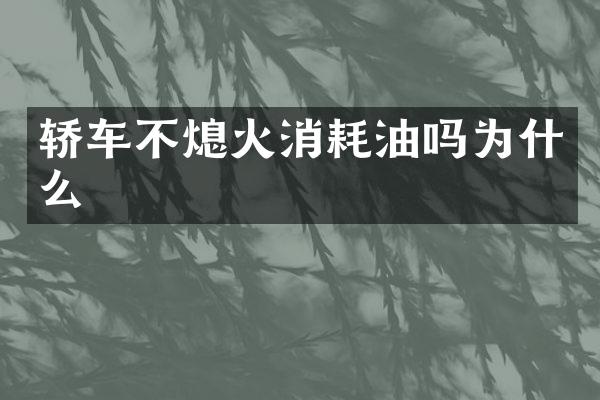 轿车不熄火消耗油吗为什么