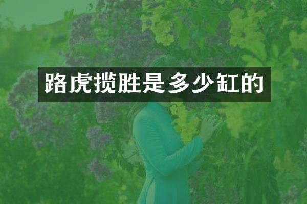 路虎揽胜是多少缸的