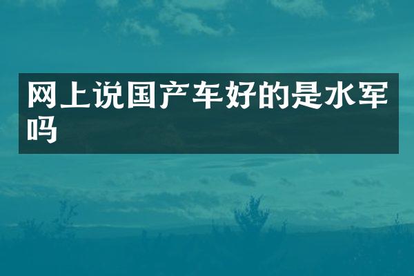 网上说国产车好的是吗