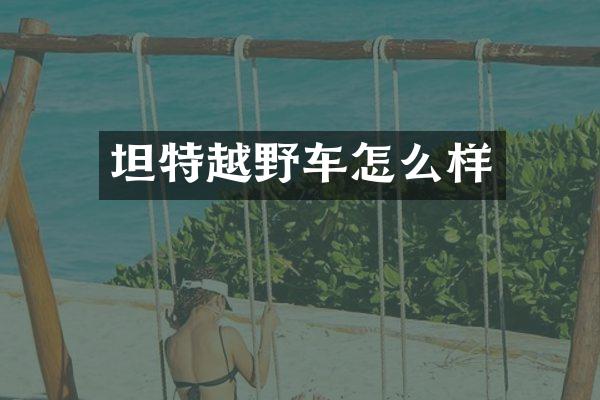 坦特越野车怎么样