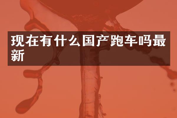 现在有什么国产跑车吗最新