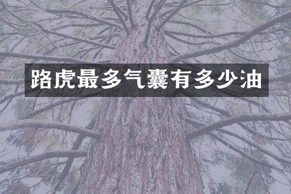 路虎最多气囊有多少油