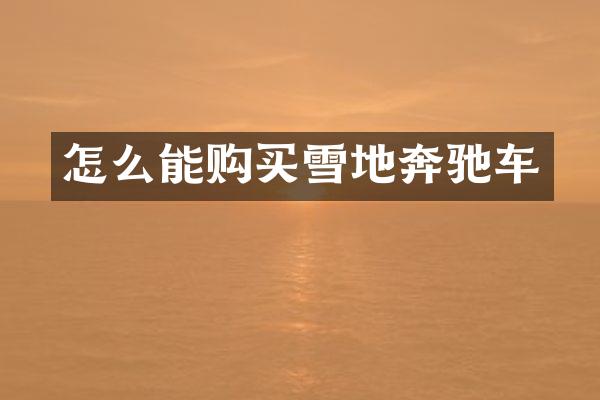 怎么能购买雪地奔驰车