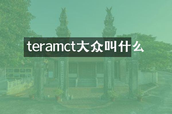 teramct大众叫什么