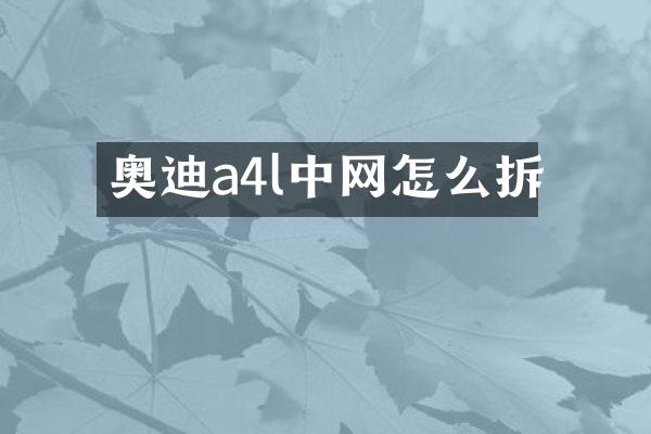 奥迪a4l中网怎么拆