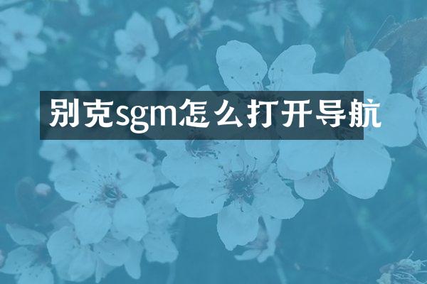 别克sgm怎么打开导航