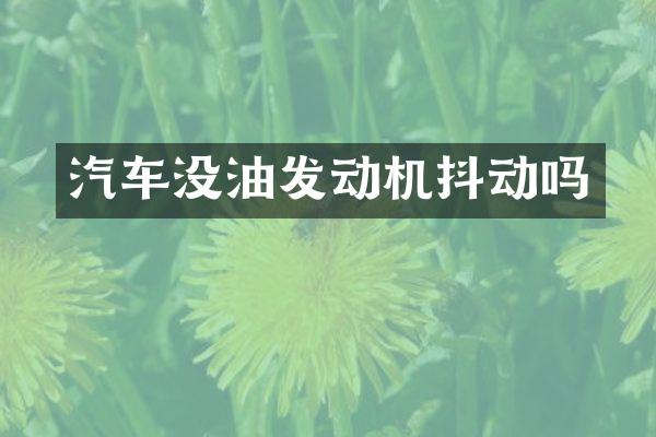 汽车没油发动机抖动吗