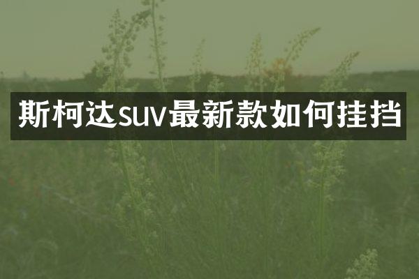 斯柯达suv最新款如何挂挡