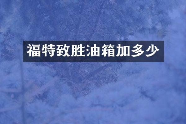 福特致胜油箱加多少