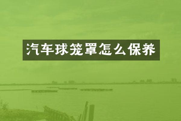 汽车球笼罩怎么保养