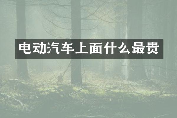 电动汽车上面什么最贵
