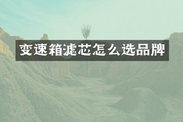变速箱滤芯怎么选品牌