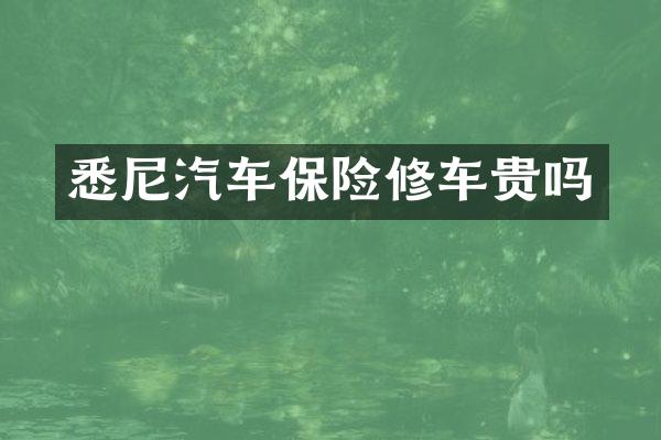 悉尼汽车保险修车贵吗