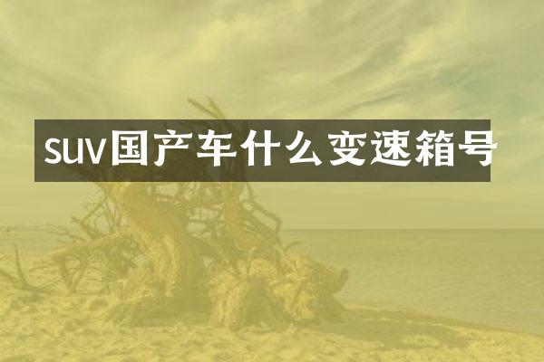 suv国产车什么变速箱号