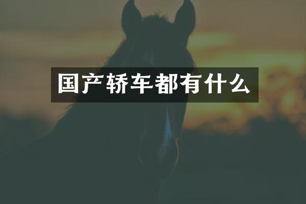 国产轿车都有什么
