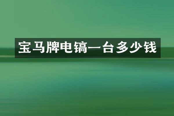 宝马牌电镐一台多少钱