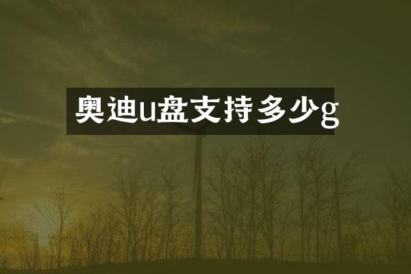 奥迪u盘支持多少g
