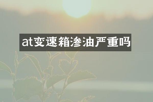 at变速箱渗油严重吗