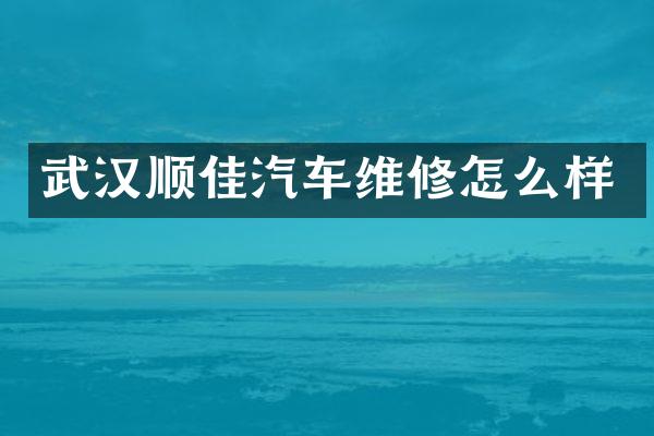 武汉顺佳汽车维修怎么样