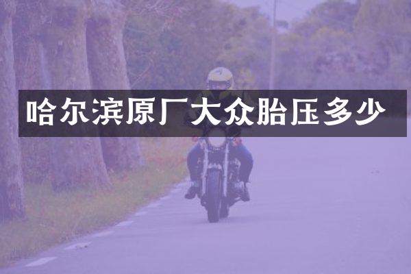 哈尔滨原厂大众胎压多少