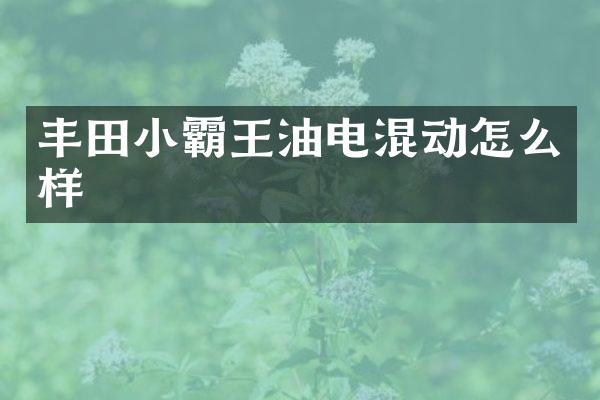 丰田小霸王油电混动怎么样