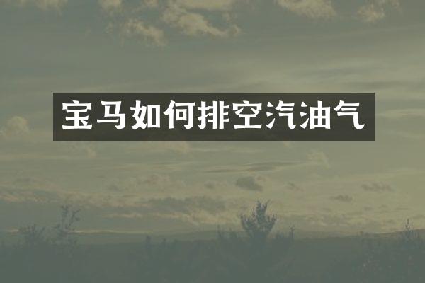 宝马如何排空汽油气