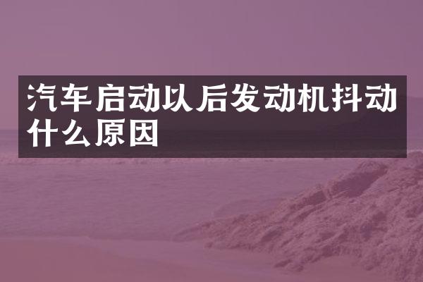 汽车启动以后发动机抖动什么原因