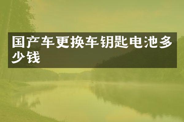 国产车更换车钥匙电池多少钱