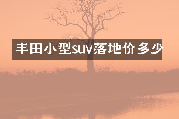 丰田小型suv落地价多少